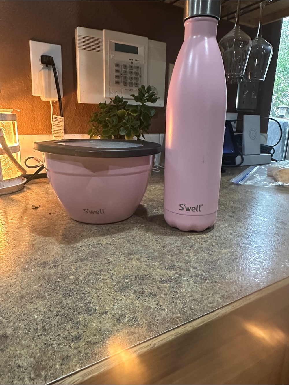 S'well Pink Insulated Bottle and Matching Food Bowl Set